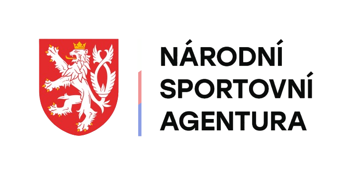 NSA Logo